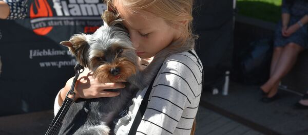 Mergaitė su augintiniu Mergaitė su augintiniu - Sputnik Lietuva