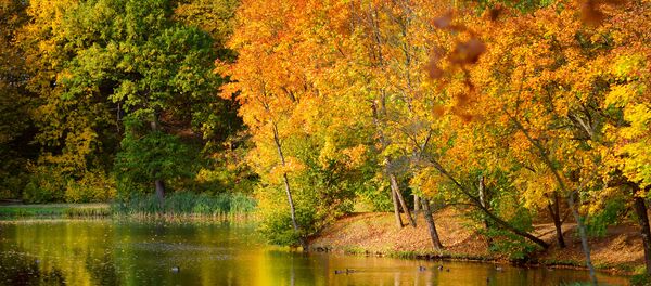Осенний Вильнюс, архивное фото - Sputnik Литва