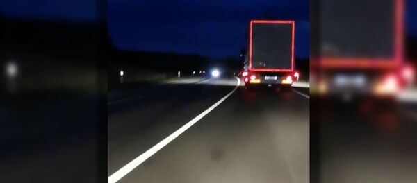 Пьяный водитель грузовика - Sputnik Литва