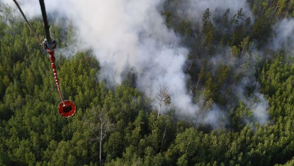 Ликвидация лесных пожаров, архивное фото - Sputnik Lietuva