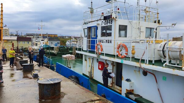 Дружба и Надежда жителей острова Шикотан - Sputnik Литва