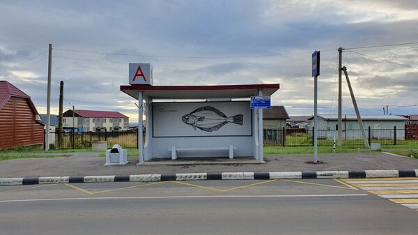 Прирученная экзотика: контрасты острова Итуруп - Sputnik Литва