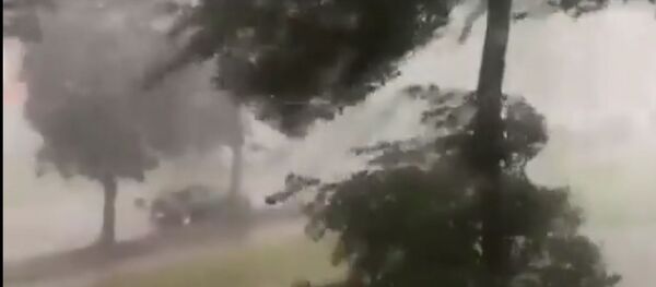 Ураган в Шяуляе - Sputnik Lietuva