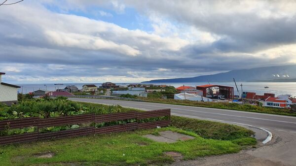 Печаль в глазах японцев: как живет остров Кунашир сегодня - Sputnik Литва