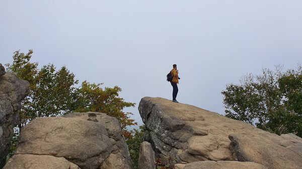 Потратить сто долларов и не пожалеть: чем способен удивить Сахалин Потратить сто долларов и не пожалеть: чем способен удивить Сахалин - Sputnik Литва