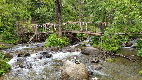 Потратить сто долларов и не пожалеть: чем способен удивить Сахалин Потратить сто долларов и не пожалеть: чем способен удивить Сахалин - Sputnik Литва