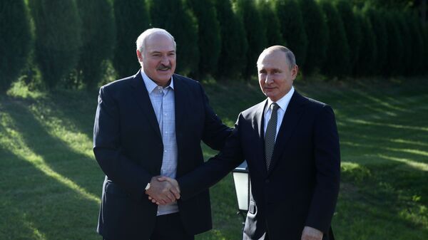 Рабочий визит президента РФ В. Путина в Республику Беларусь - Sputnik Литва