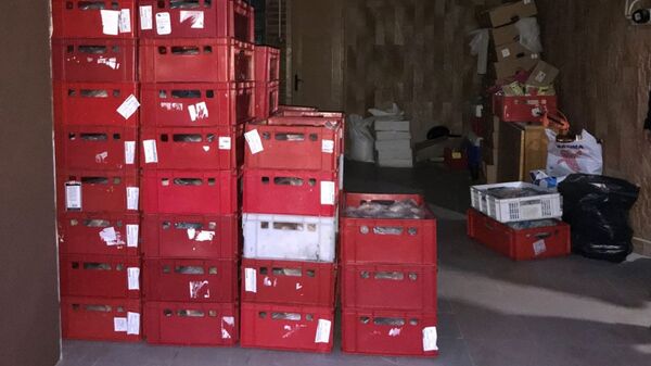 В Литве обнаружили незаконную мясоперерабатывающую фабрику В Литве обнаружили незаконную мясоперерабатывающую фабрику - Sputnik Литва