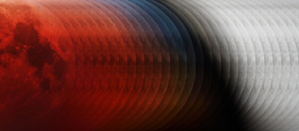 Снимок Into the Shadow венгерского фотографа László Francsics, победивший в конкурсе Insight Investment Astronomy Photographer of the Year 2019 Снимок Into the Shadow венгерского фотографа László Francsics, победивший в конкурсе Insight Investment Astronomy Photographer of the Year 2019 - Sputnik Lietuva