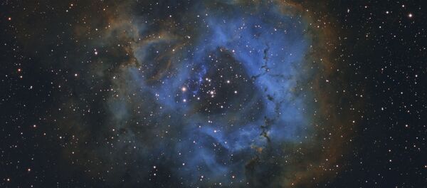 Снимок Stellar Flower 11-летнего голландского фотографа Davy van der Hoeven , занявший 1 место в категории YOUNG ASTRONOMY PHOTOGRAPHER OF THE YEAR конкурса Insight Investment Astronomy Photographer of the Year 2019 Снимок Stellar Flower 11-летнего голландского фотографа Davy van der Hoeven , занявший 1 место в категории YOUNG ASTRONOMY PHOTOGRAPHER OF THE YEAR конкурса Insight Investment Astronomy Photographer of the Year 2019 - Sputnik Литва