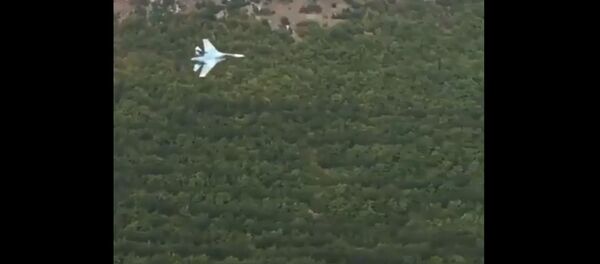 Су-27 маневрирует в Большом каньоне Крыма Су-27 маневрирует в Большом каньоне Крыма - Sputnik Литва