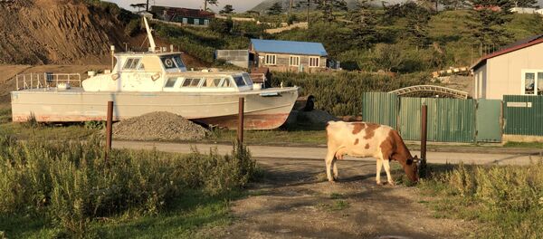 На маленьком Шикотане море и океан видны с любой точки. Но даже обычные пейзажи деревенской жизни не обходятся без морской тематики. На маленьком Шикотане море и океан видны с любой точки. Но даже обычные пейзажи деревенской жизни не обходятся без морской тематики. - Sputnik Lietuva