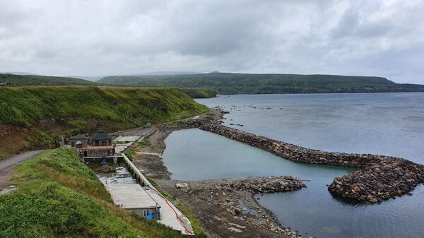 Сюда не приезжают пить кока-колу: что делать туристу на Курильских островах - Sputnik Литва