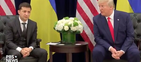 Лицо Зеленского после слов Тампа  - Sputnik Литва