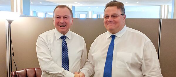 Встреча Министра иностранных дел Беларуси В.Макея с Министром иностранных дел Литвы Л.Линкявичюсом - Sputnik Lietuva