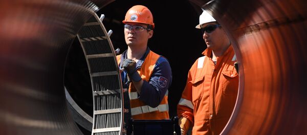 Строительство газопровода Северный поток-2 в Ленинградской области, архивное фото - Sputnik Литва