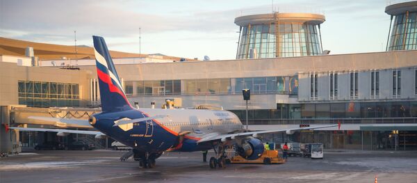 Аэропорт Пулково, Санкт-Петербург, архивное фото - Sputnik Литва