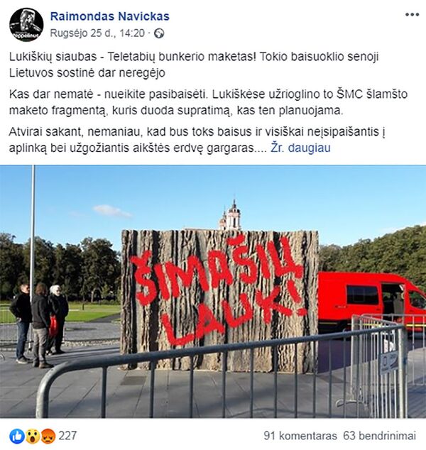 Vytis ar miško broliai: ar suras lietuviai idealią atminimo politiką Vytis ar miško broliai: ar suras lietuviai idealią atminimo politiką - Sputnik Lietuva