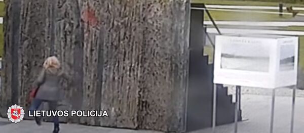 Полиция опубликовала видео, как макет Холма свободы облили краской - Sputnik Литва