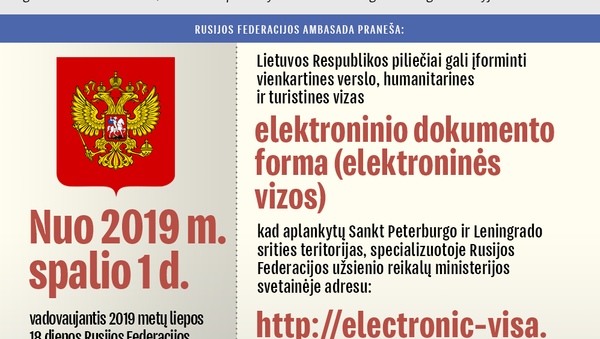 Elektroninės vizos į Sankt Peterburgą ir Leningrado sritį - Sputnik Lietuva