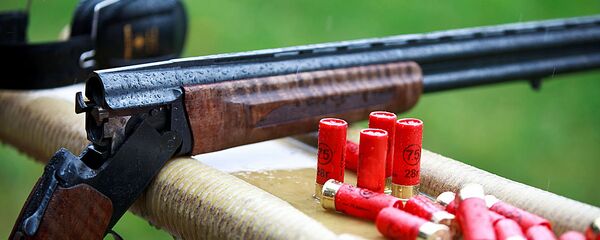 Дробовик с патронами, архивное фото - Sputnik Lietuva