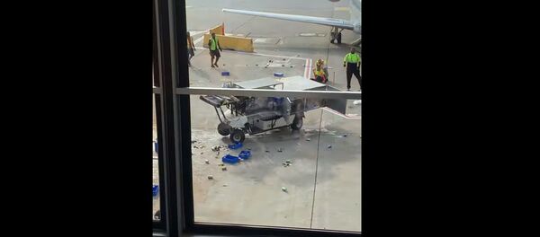 В международном аэропорту О'Хара происходит безумие В международном аэропорту О'Хара происходит безумие - Sputnik Lietuva