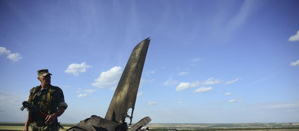 Сбитый ополченцами Луганска самолет ИЛ-76 ВВС Украины, архивное фото Сбитый ополченцами Луганска самолет ИЛ-76 ВВС Украины, архивное фото - Sputnik Lietuva