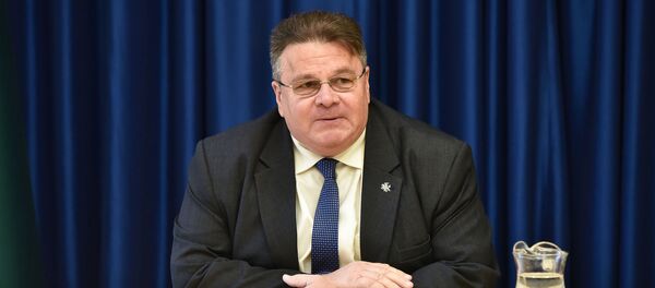 Министр иностранных дел Литвы Линас Линкявичюс, архивное фото - Sputnik Lietuva