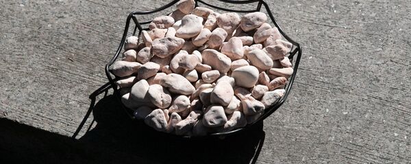 Камешки для возложения на могилы жертв Холокоста, архивное фото - Sputnik Литва