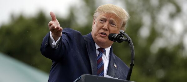 Президент США Дональд Трамп, архивное фото - Sputnik Литва