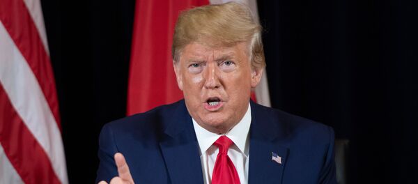 JAV prezidentas Donaldas Trampas JAV prezidentas Donaldas Trampas - Sputnik Lietuva