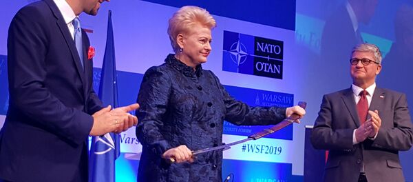 Экс-президент Даля Грибаускайте была награждена Почетным рыцарским орденом и мечом в Варшаве - Sputnik Литва