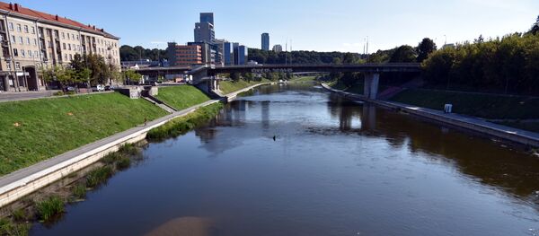 Сильно обмелевшая река Нерис в Вильнюсе, архивное фото - Sputnik Литва