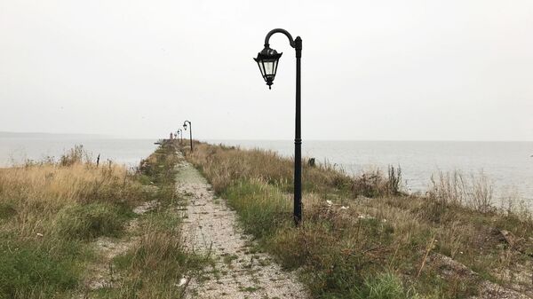 Несколько гектаров земли на Куршской косе выставили на торги Несколько гектаров земли на Куршской косе выставили на торги - Sputnik Литва