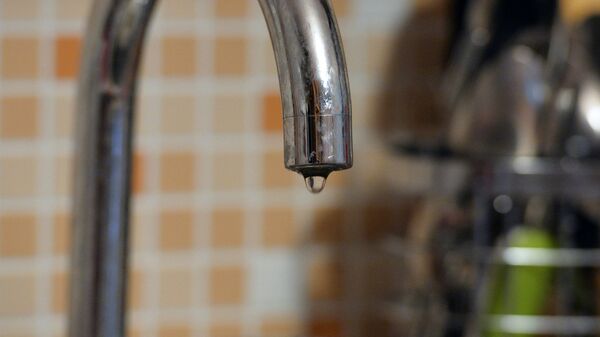 Кухонный кран, архивное фото - Sputnik Литва