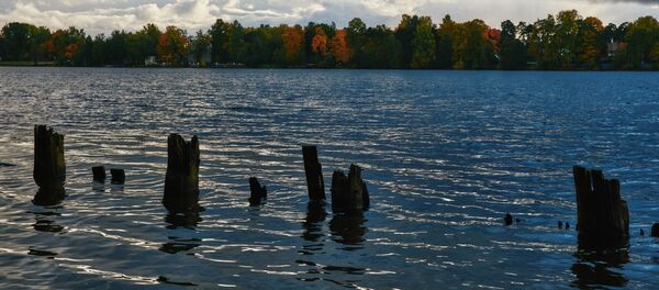 Суздальские озера в Санкт-Петербурге Суздальские озера в Санкт-Петербурге - Sputnik Lietuva