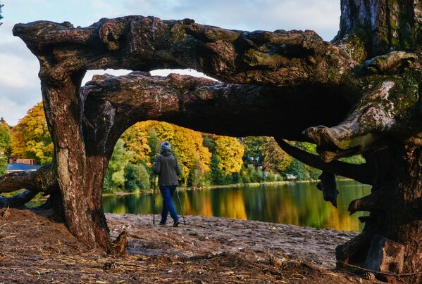 В багрец и золото одетые леса: какой бывает осень в Санкт-Петербурге - Sputnik Литва