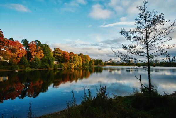 В багрец и золото одетые леса: какой бывает осень в Санкт-Петербурге - Sputnik Литва