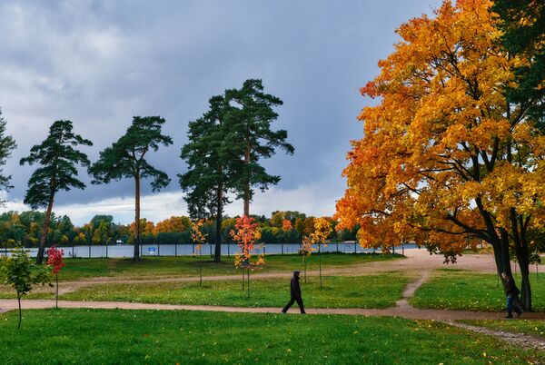 Прохожий гуляет в парке около Суздальских озер в Санкт-Петербурге - Sputnik Lietuva