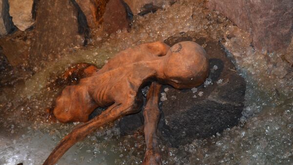 Ледяная мумия человека эпохи халколита Этци (Отци), архивное фото - Sputnik Литва