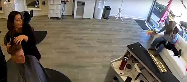 На острове Лонг-Айленд в американском штате Нью-Йорк олень ворвался в салон красоты - Sputnik Литва