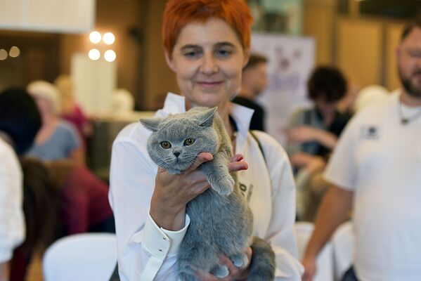 Юбилейная 25-ая международная выставка кошек в Вильнюсе - Sputnik Литва