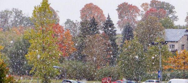 Первый снег в Литве, 6 октября 2019 года Первый снег в Литве, 6 октября 2019 года - Sputnik Lietuva