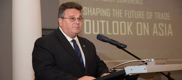 Lietuvos užsienio reikalų ministras Linas Linkevičius, archyvinė nuotrauka Lietuvos užsienio reikalų ministras Linas Linkevičius, archyvinė nuotrauka - Sputnik Lietuva