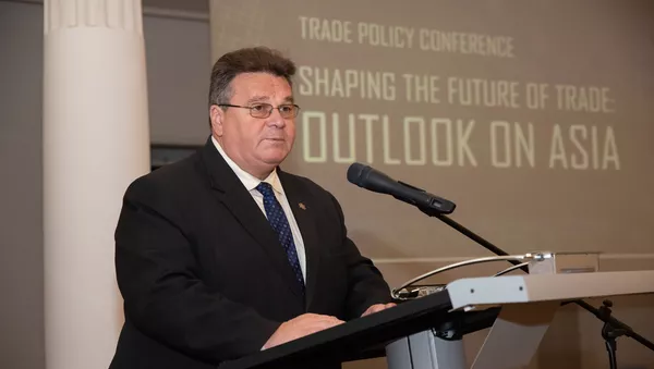 Lietuvos užsienio reikalų ministras Linas Linkevičius, archyvinė nuotrauka - Sputnik Lietuva