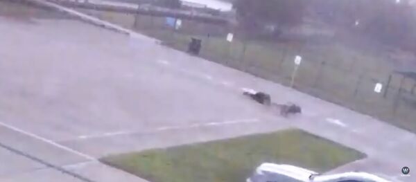 Человека поразила молния Человека поразила молния - Sputnik Lietuva