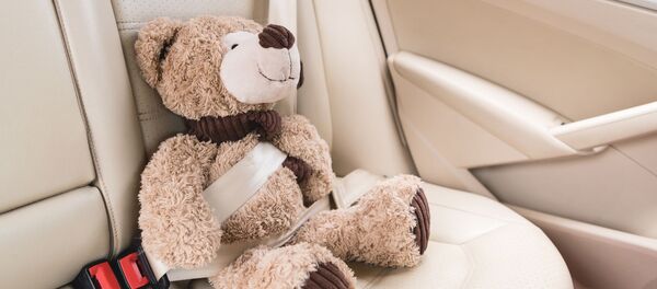 Плюшевый медведь в автомобиле, архивное фото - Sputnik Литва