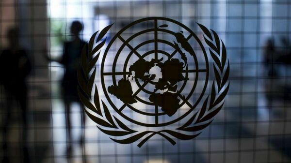 Эмблема ООН, архивное фото - Sputnik Lietuva