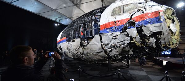 Представление доклада об обстоятельствах крушения лайнера Boeing 777 Malaysia Airlines (рейс MH17) в Нидерландах, архивное фото Представление доклада об обстоятельствах крушения лайнера Boeing 777 Malaysia Airlines (рейс MH17) в Нидерландах, архивное фото - Sputnik Литва