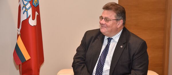 Министр иностранных дел Литвы Линас Линкявичюс, архивное фото Министр иностранных дел Литвы Линас Линкявичюс, архивное фото - Sputnik Литва